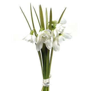 SNOWDROP SPRING BUNDLE