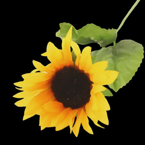 SUNFLOWER YELLOW 60CMS