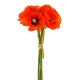 POPPY BUNDLE ORANGE X 6