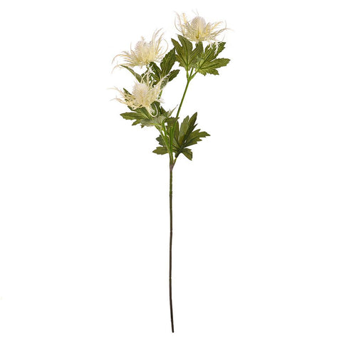 *SEA HOLLY WHITE