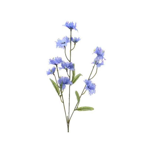 CORNFLOWER PURPLE/BLUE