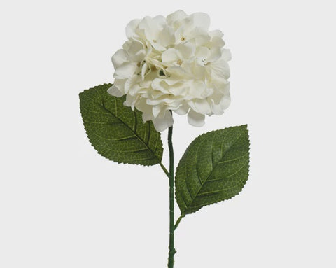 HYDRANGEA OFF WHITE