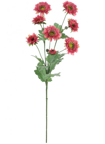 WILD GERBERA SPRAY BLUSH