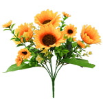 SUNFLOWER BUSH 30CMS