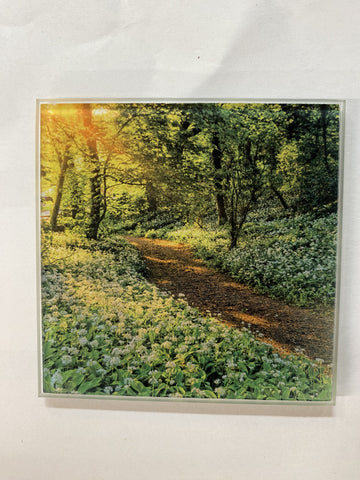 COASTER WILD GARLIC IN SHANKLIN