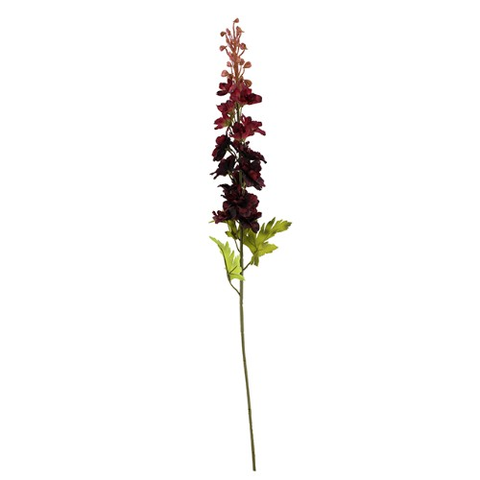 BURGUNDY DELPHINIUM