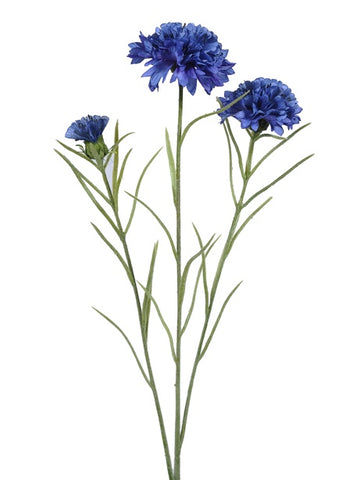 CORNFLOWER BLUE 65CM